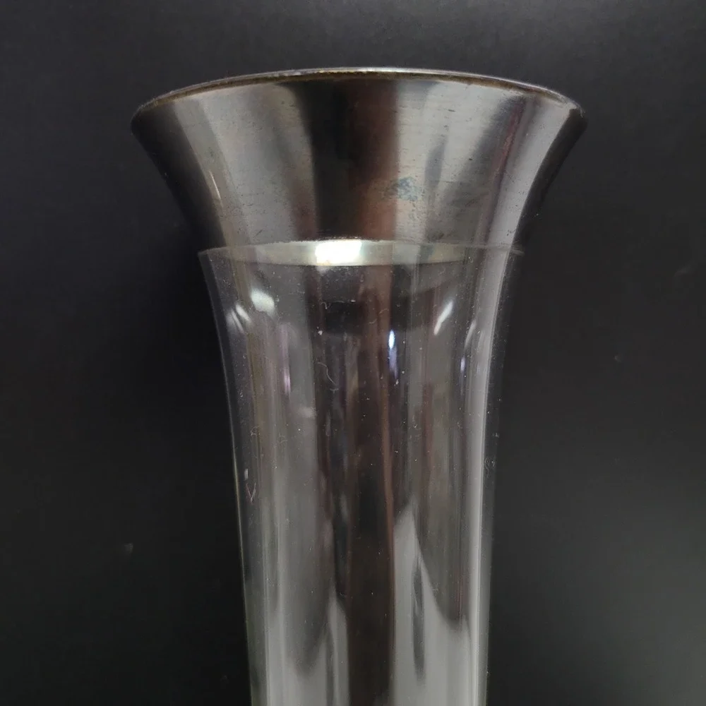 Vintage 10 Inch Clear Glass Bud Vase with Silver Rim Skinny Trumpet Decor